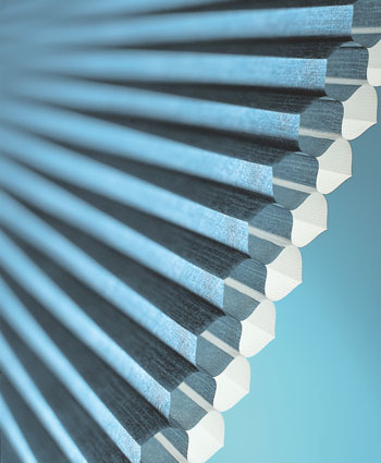 blinds