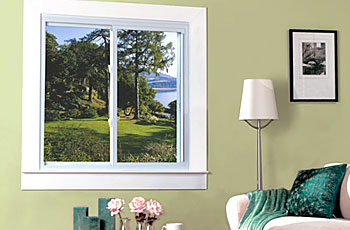 double hung window beauty shot